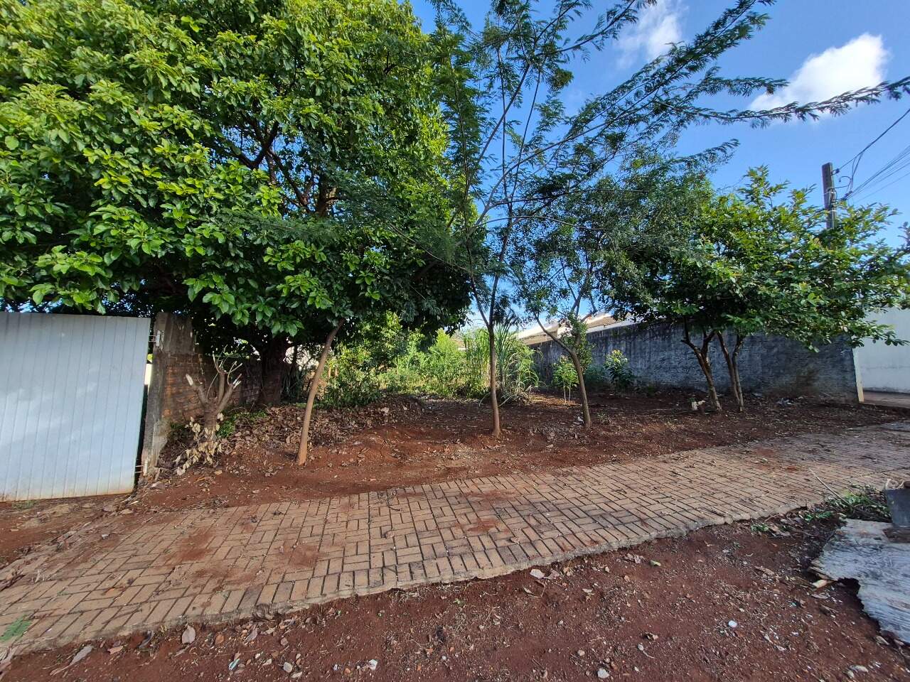 Terreno para aluguel no Santa Cruz: 