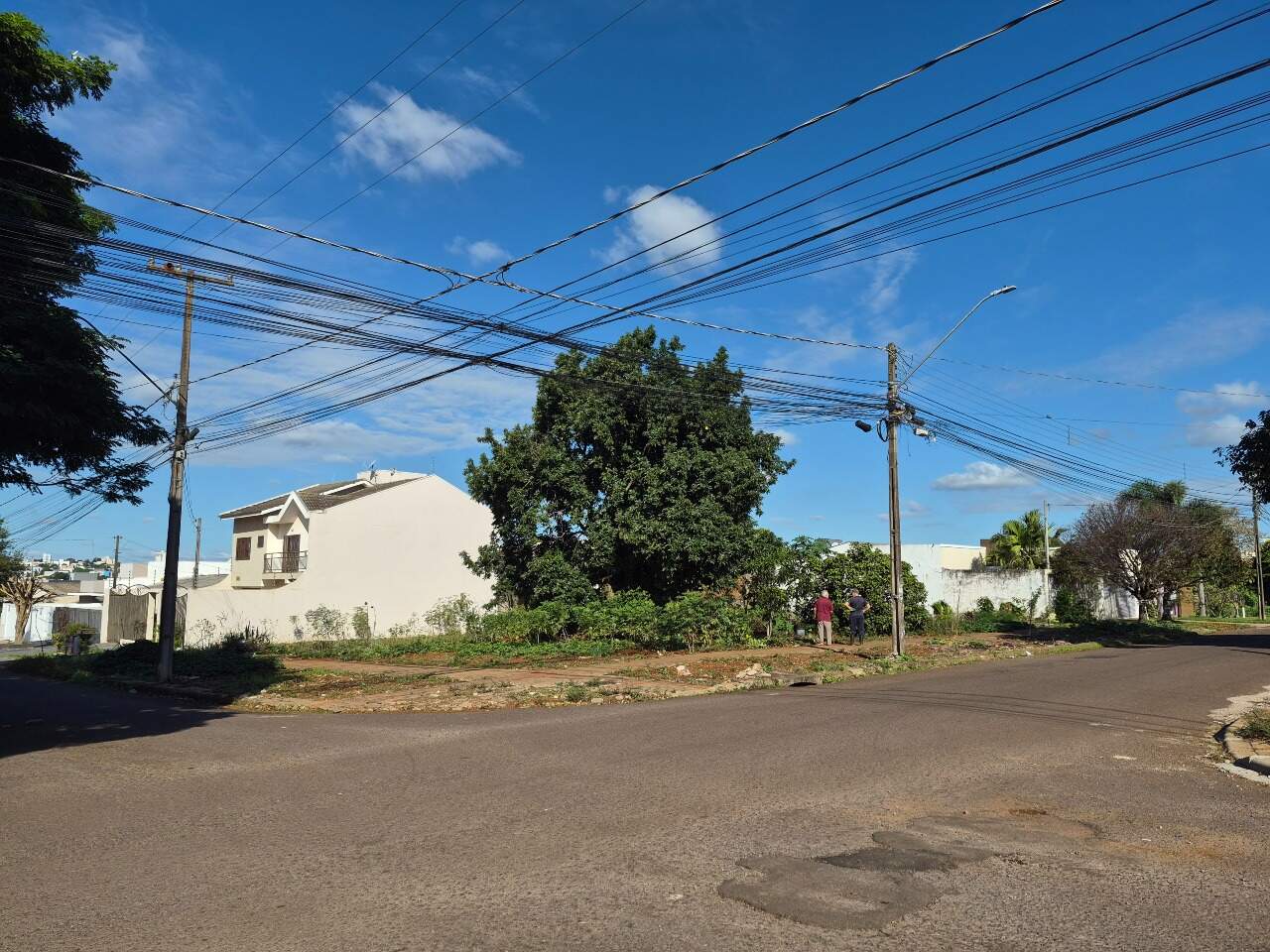 Terreno para aluguel no Santa Cruz: 