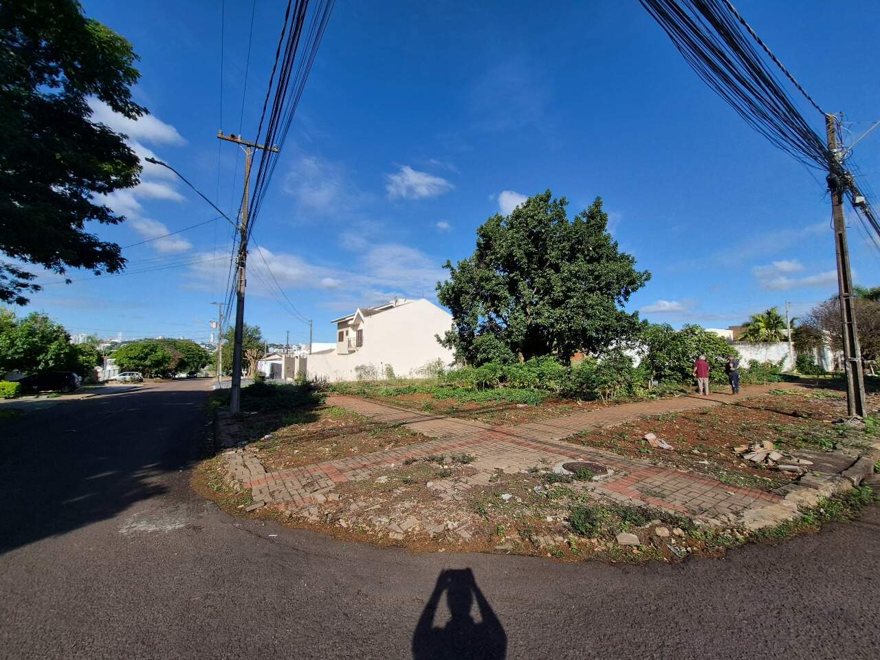 Terreno para aluguel no Santa Cruz: 