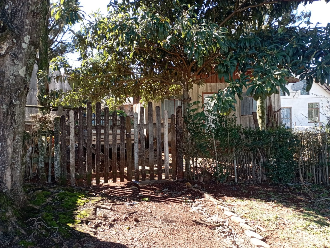 Lote à venda no Universitário: 