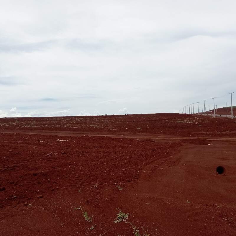 Terreno à venda no Brasmadeira: 