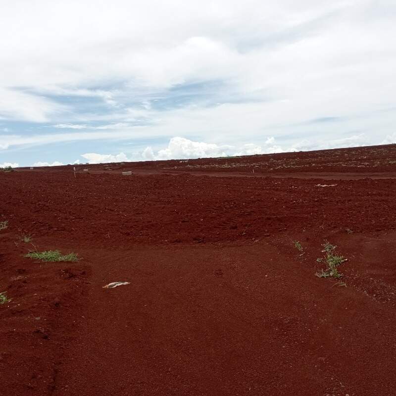 Terreno à venda no Brasmadeira: 