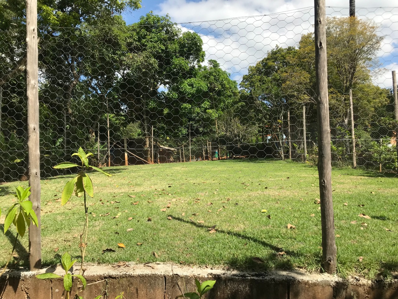 Sítio à venda no Nossa Senhora Da Paz: 