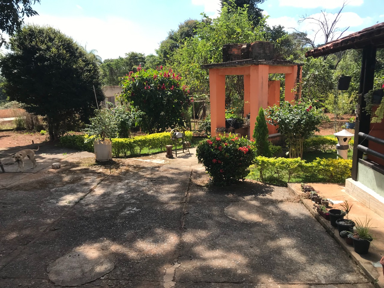 Sítio à venda no Nossa Senhora Da Paz: 