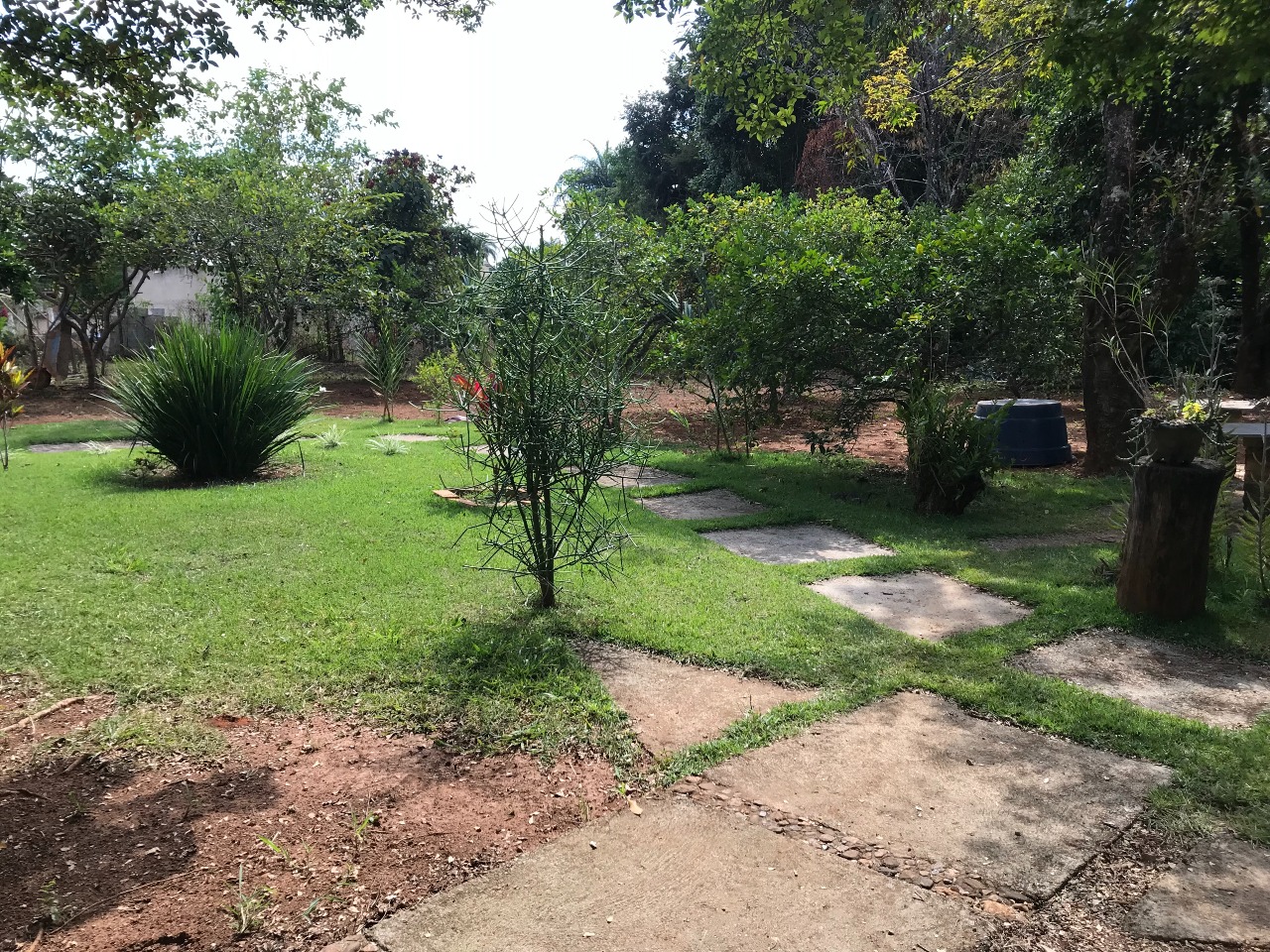 Sítio à venda no Nossa Senhora Da Paz: 