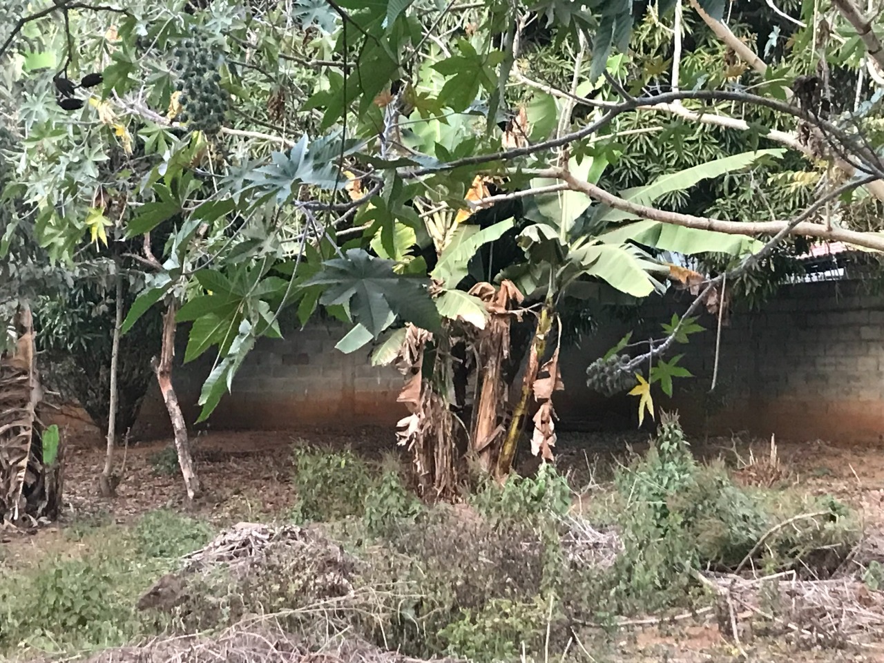 Lote à venda no Nova Esperança: 