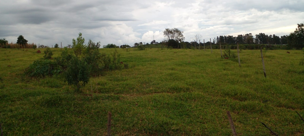 Chácara à venda no Vila Verde : 