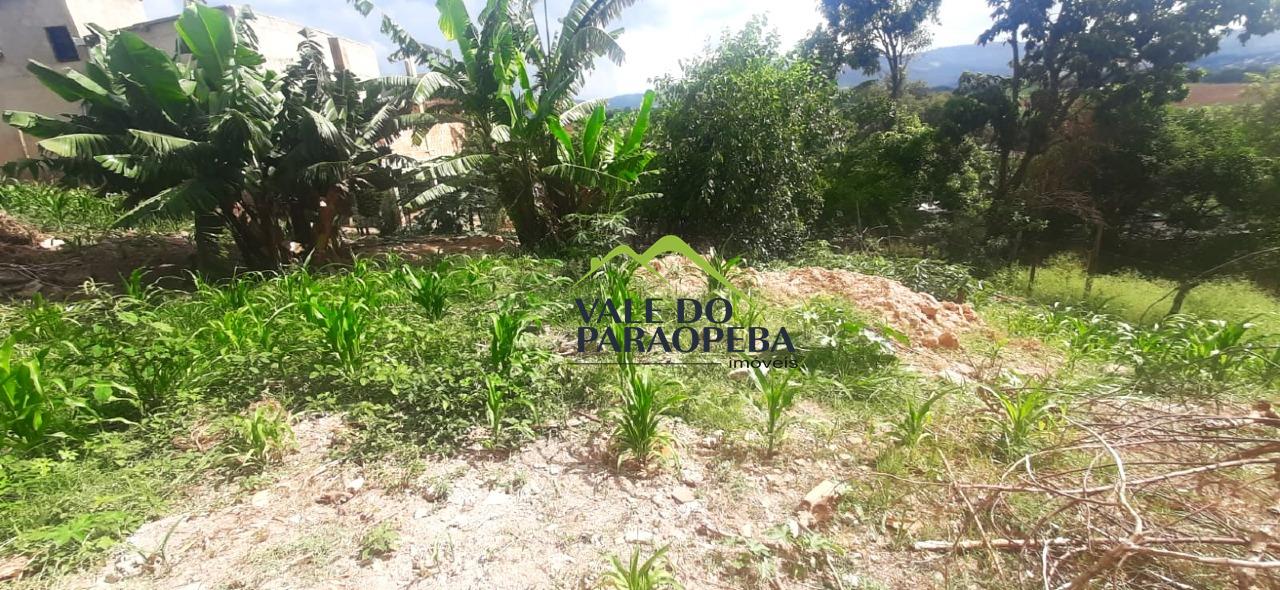 Lote à venda no Pedra Branca: 