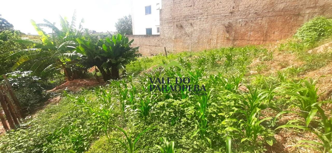Lote à venda no Pedra Branca: 