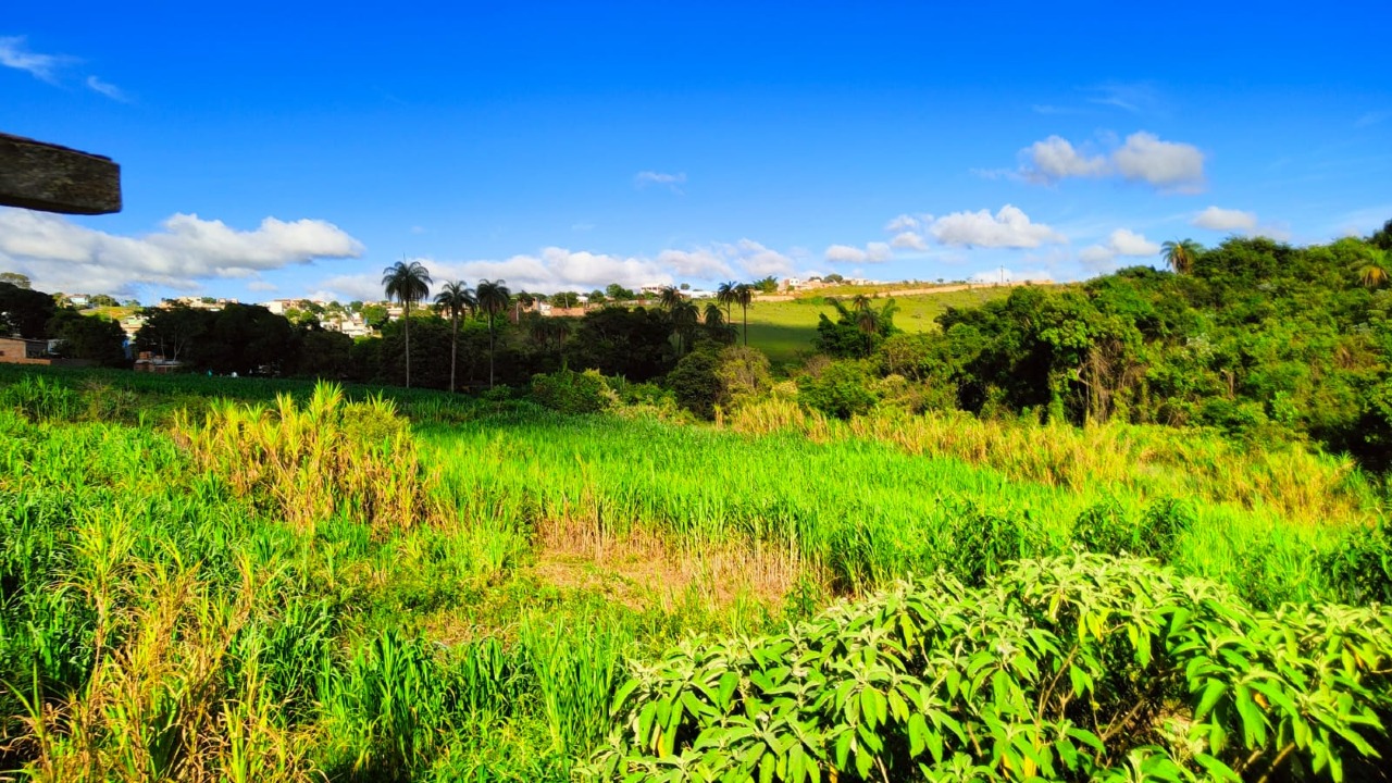 Terreno à venda no Vila Rica : 