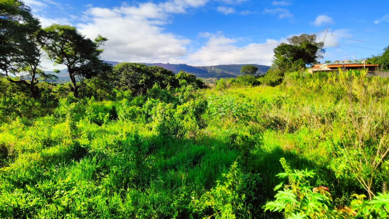 Terreno à venda no Vila Rica : 