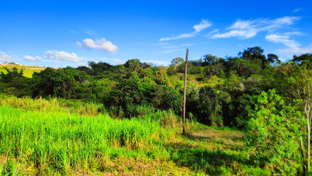 Terreno à venda no Vila Rica : 