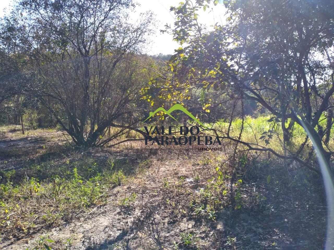 Sítio à venda no São Sebastião: 