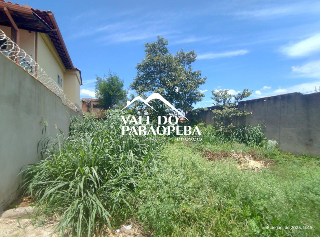 Lote para aluguel no Tereza Cristina: 