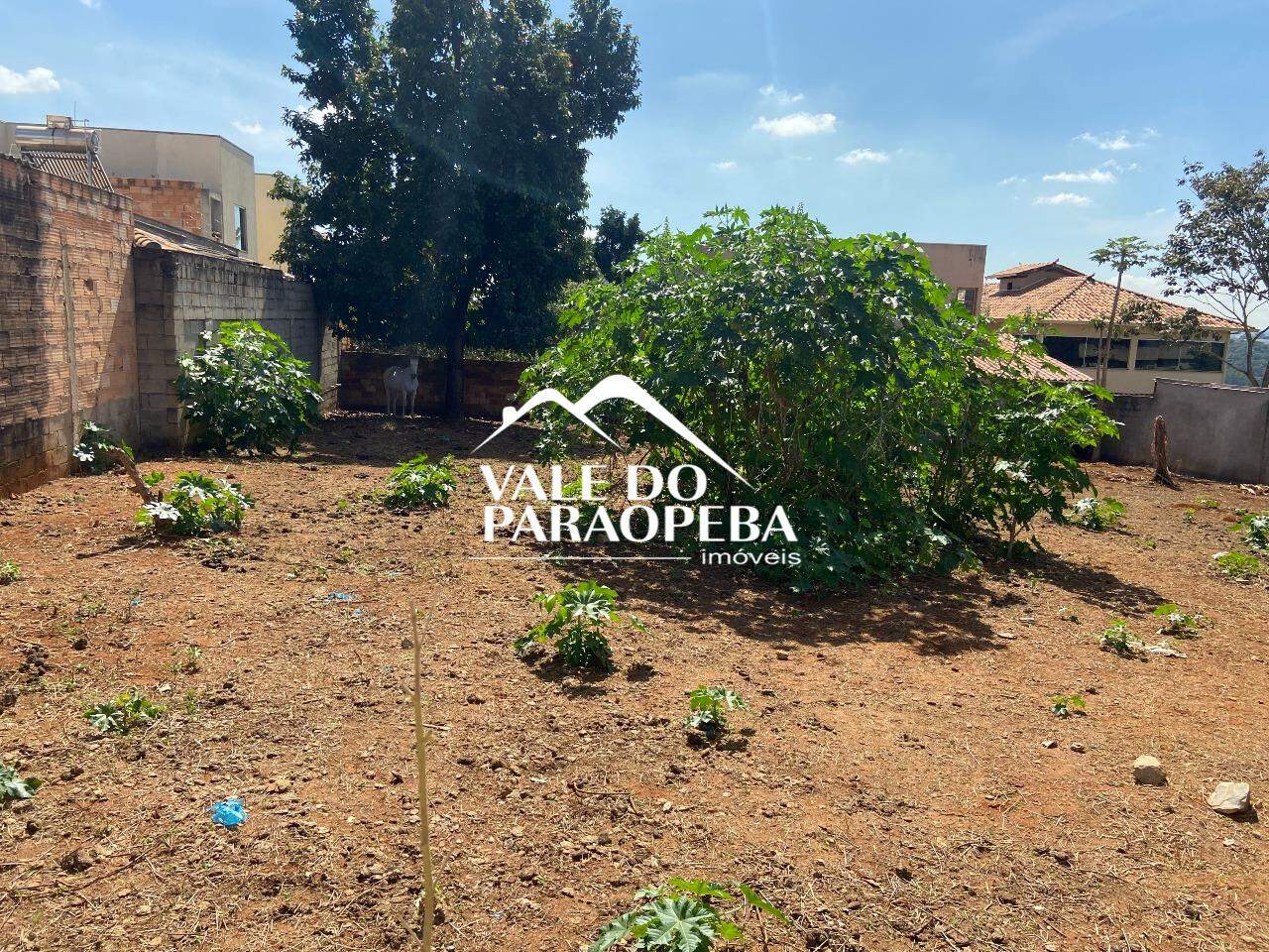 Lote à venda no Tupanuara : 