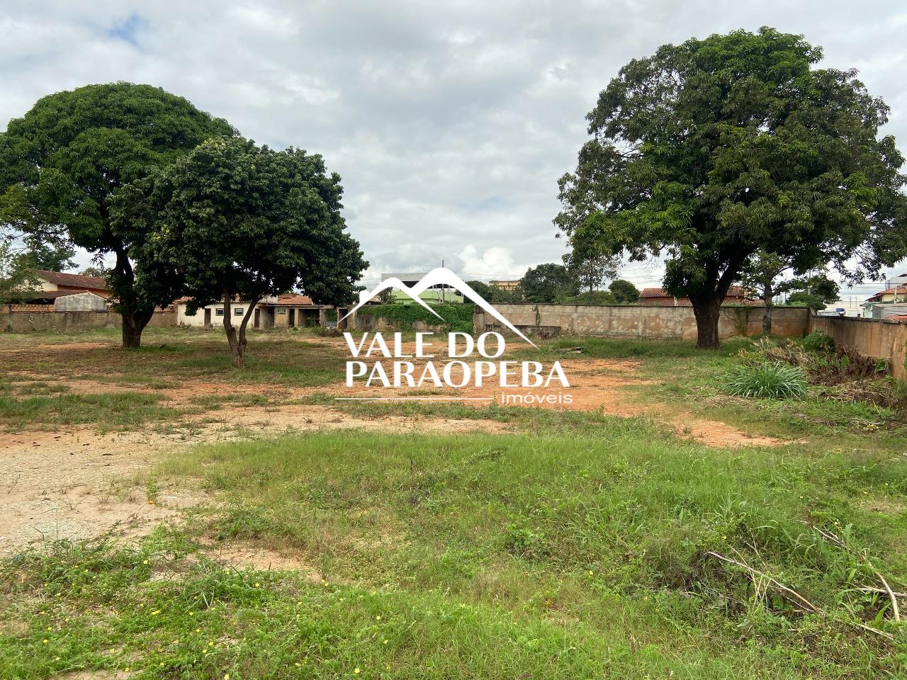 Lote para aluguel no Tereza Cristina: 