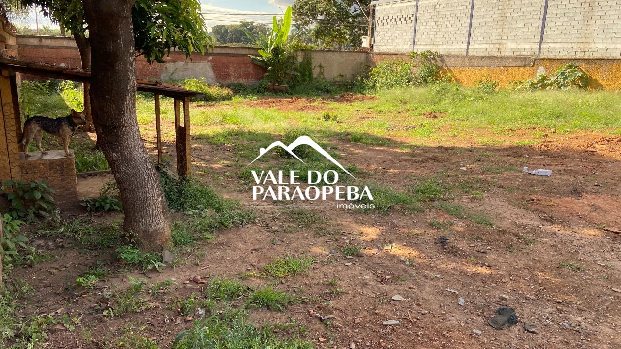 Lote para aluguel no Tereza Cristina: 