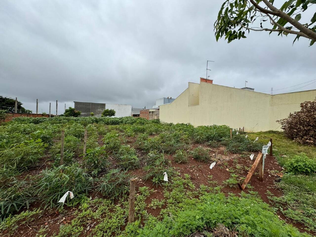 Lote à venda no Jardim Gisela: 