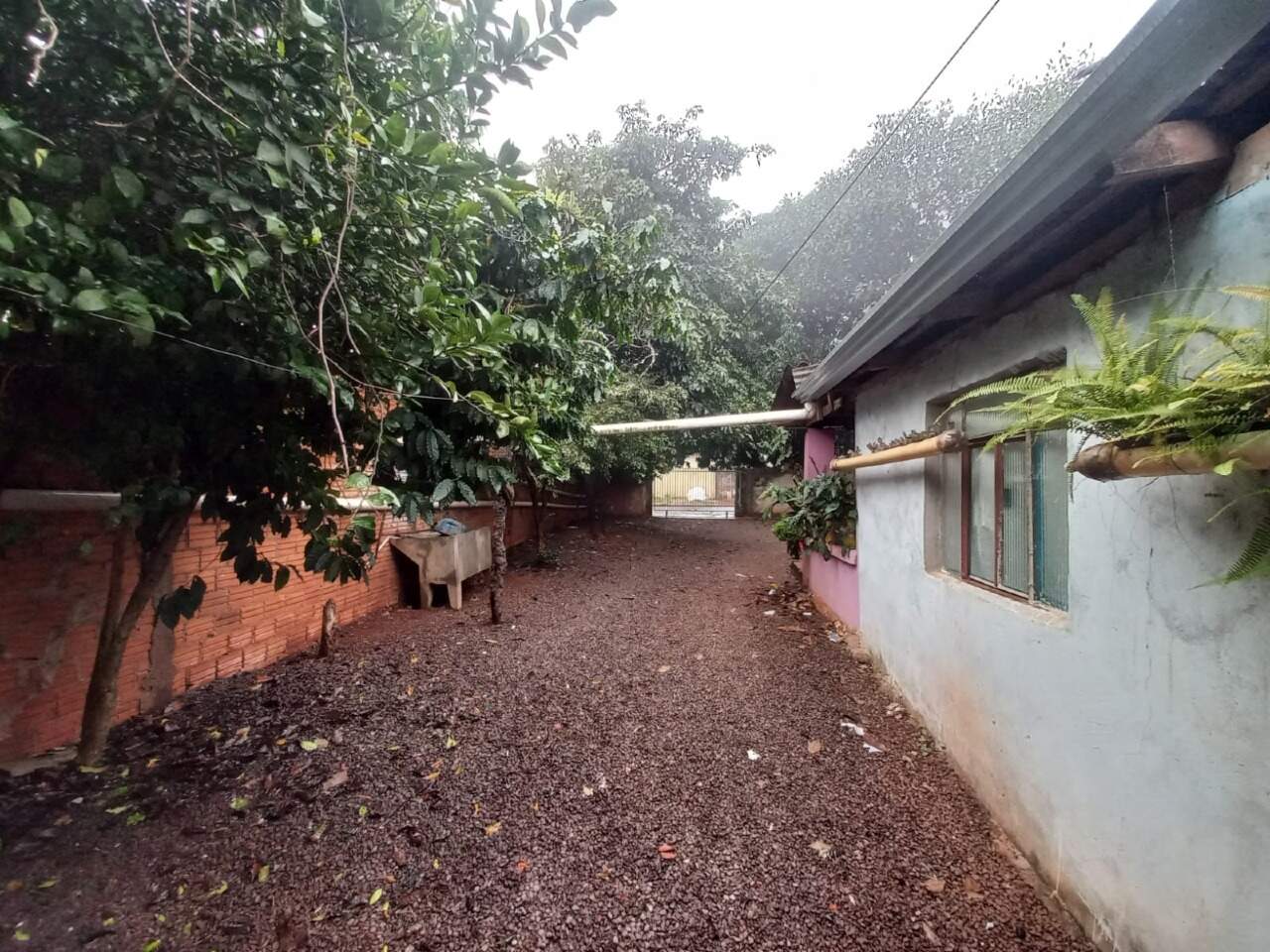 Lote à venda no Jardim Pancera: 