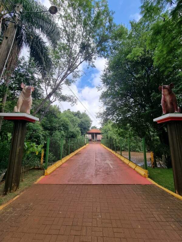 Casa à venda no clube caça e pesca: 