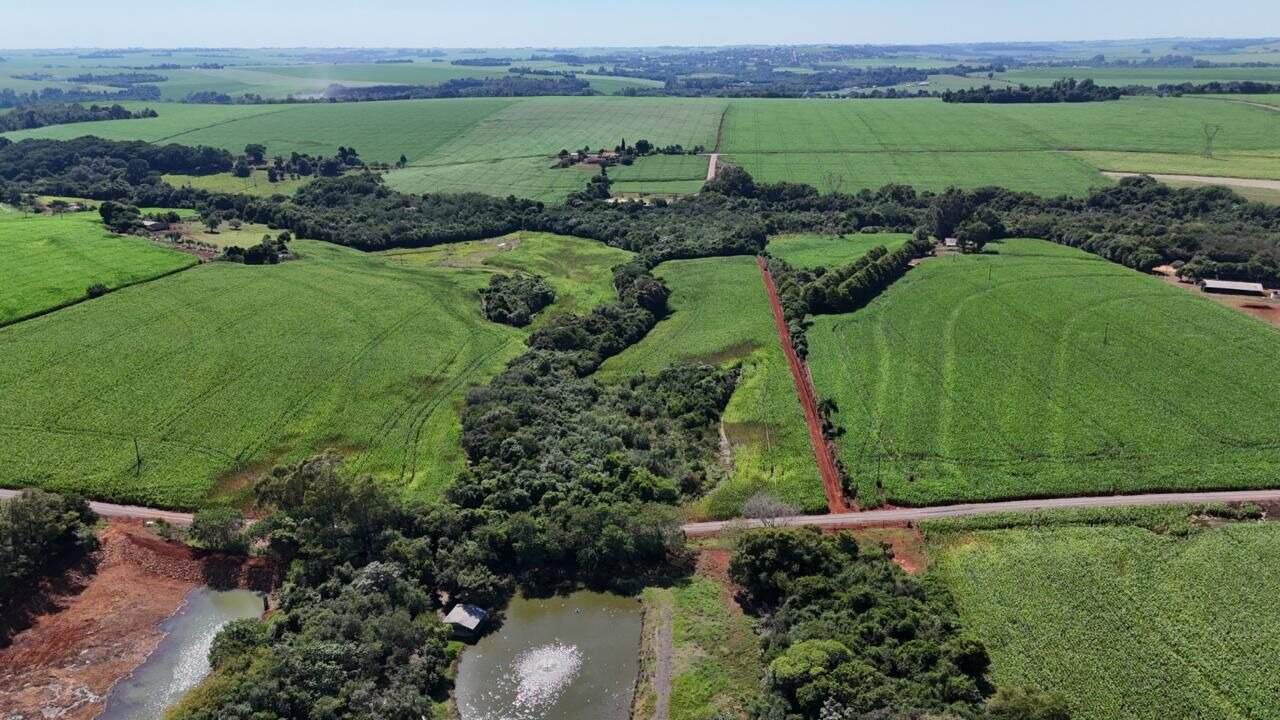 Chácara à venda no Sarandi: 