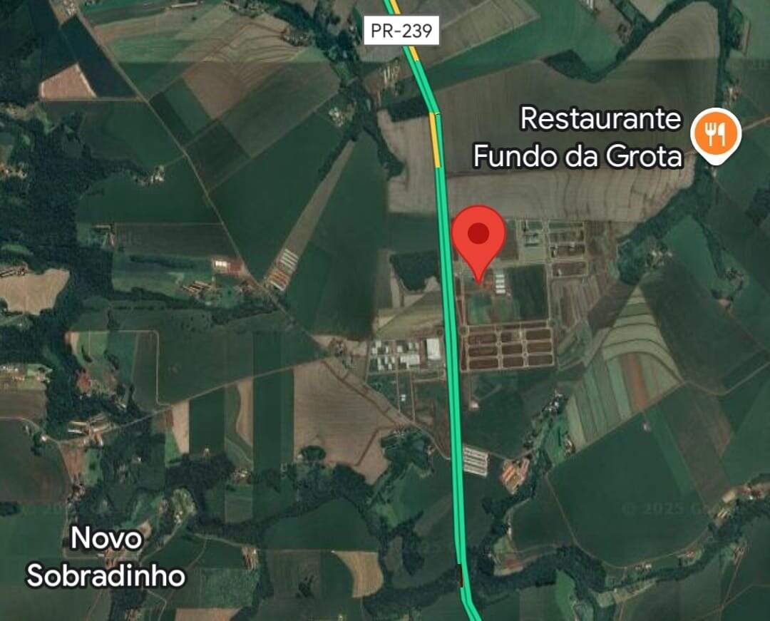 Sítio à venda no Novo Sobradinho: 
