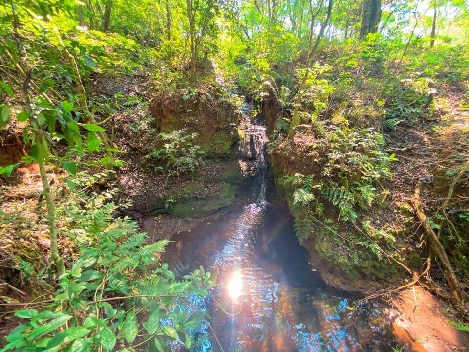 Chácara à venda no Jardim Concórdia: 
