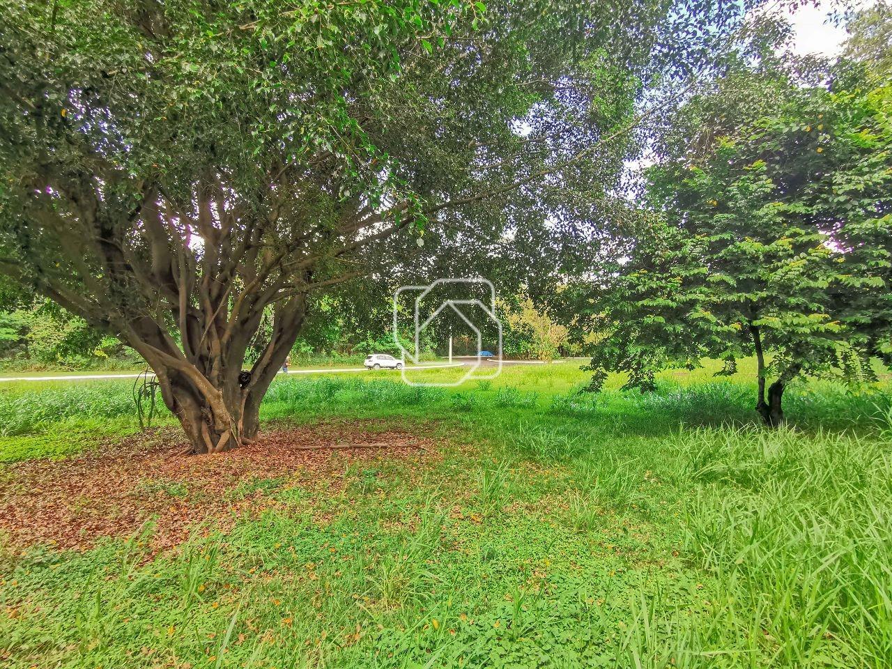 Terreno à venda em Indaiatuba - SP - Helvetia Country: Visão geral do terreno