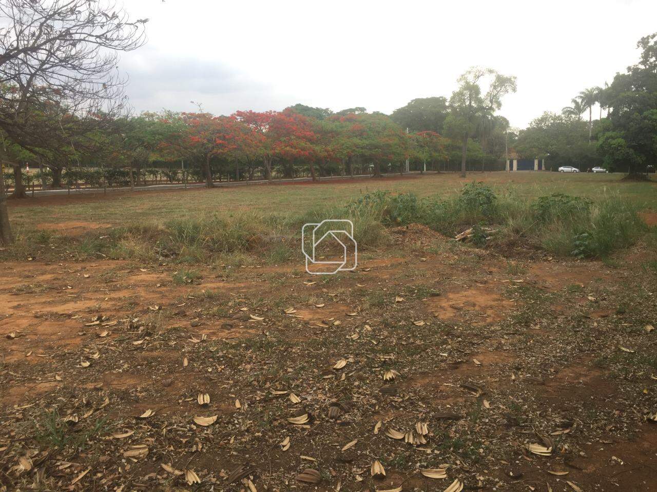 Terreno à venda em Indaiatuba - SP - Helvetia Polo Country: Terreno à venda no Condomínio Helvetia Polo Country - Indaiatuba/SP