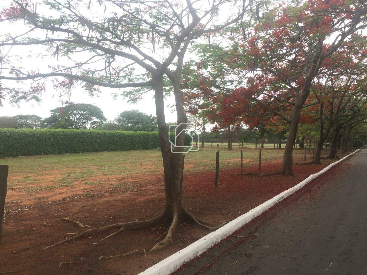 Terreno à venda em Indaiatuba - SP - Helvetia Polo Country: Terreno à venda no Condomínio Helvetia Polo Country - Indaiatuba/SP