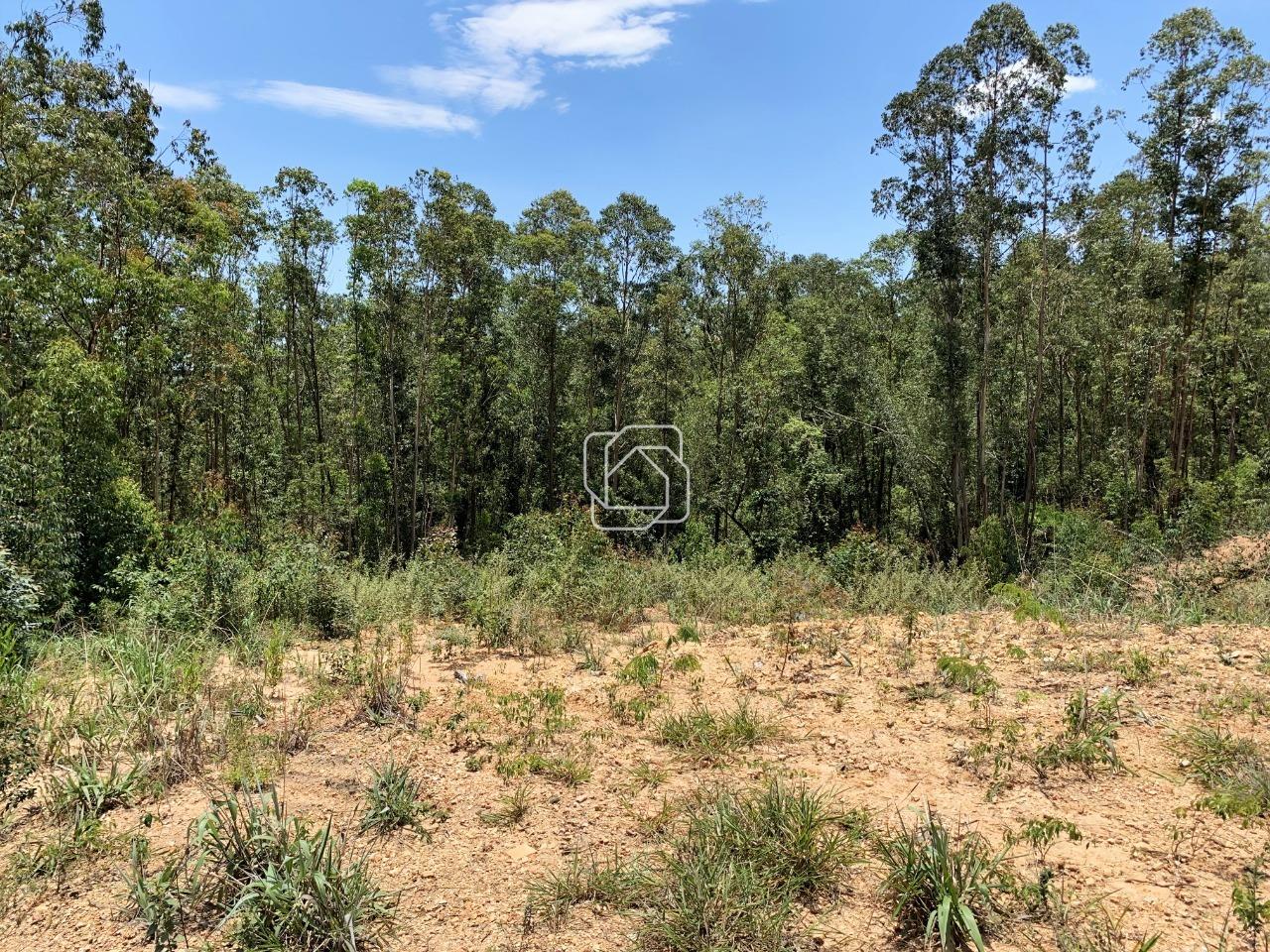 Terreno à venda em Itu - SP - Condomínio Terras de São José II: Visão geral do terreno