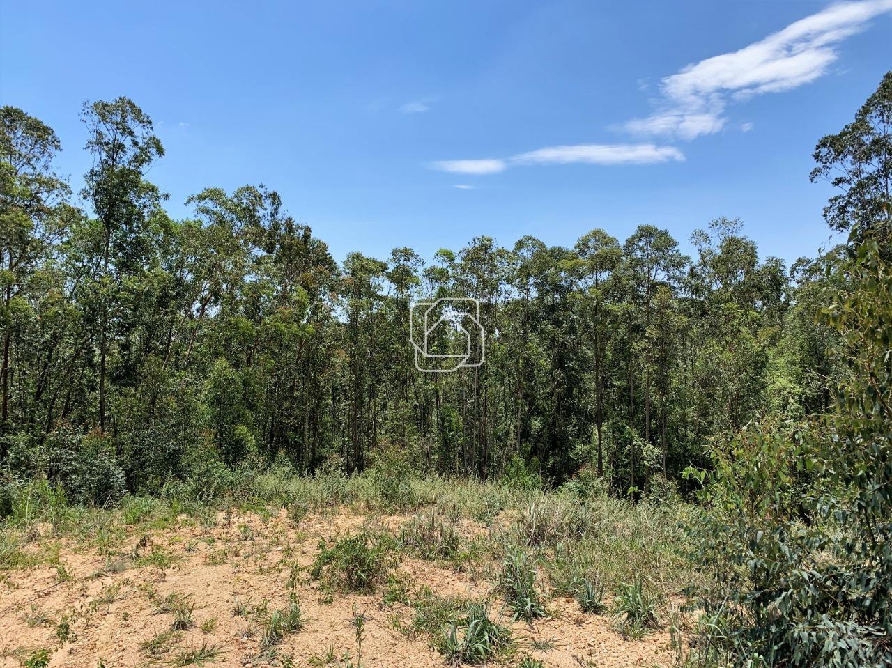 Terreno à venda em Itu - SP - Condomínio Terras de São José II: Visão geral do terreno