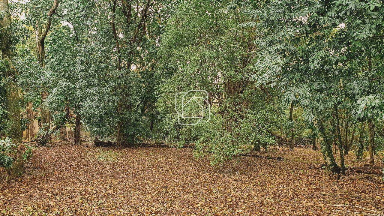 Terreno à venda em Indaiatuba - SP - Recanto das Flores: Visão geral do terreno