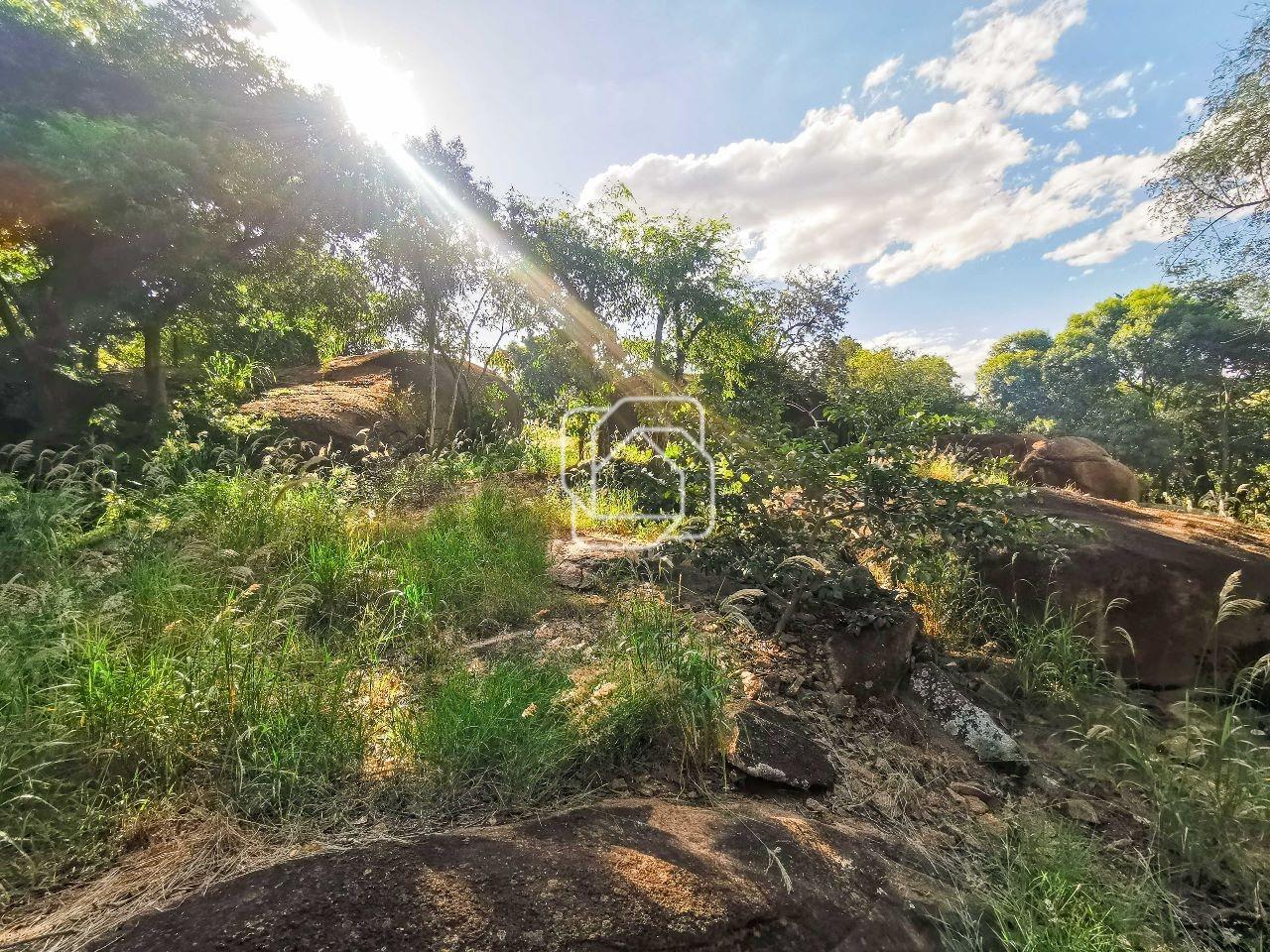 Terreno à venda em Indaiatuba - SP - Vale das Laranjeiras: Visão geral do terreno