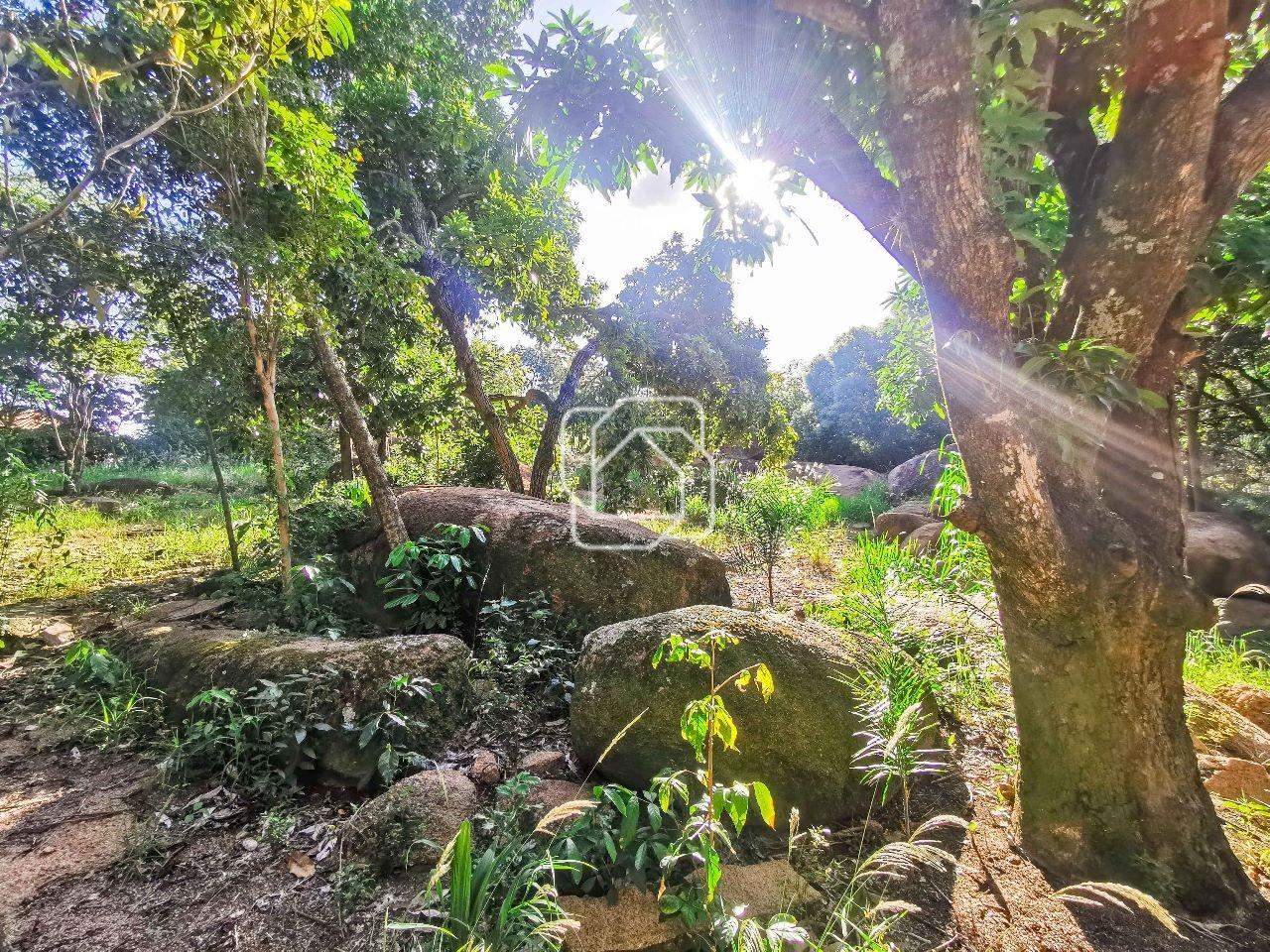 Terreno à venda em Indaiatuba - SP - Vale das Laranjeiras: Visão geral do terreno