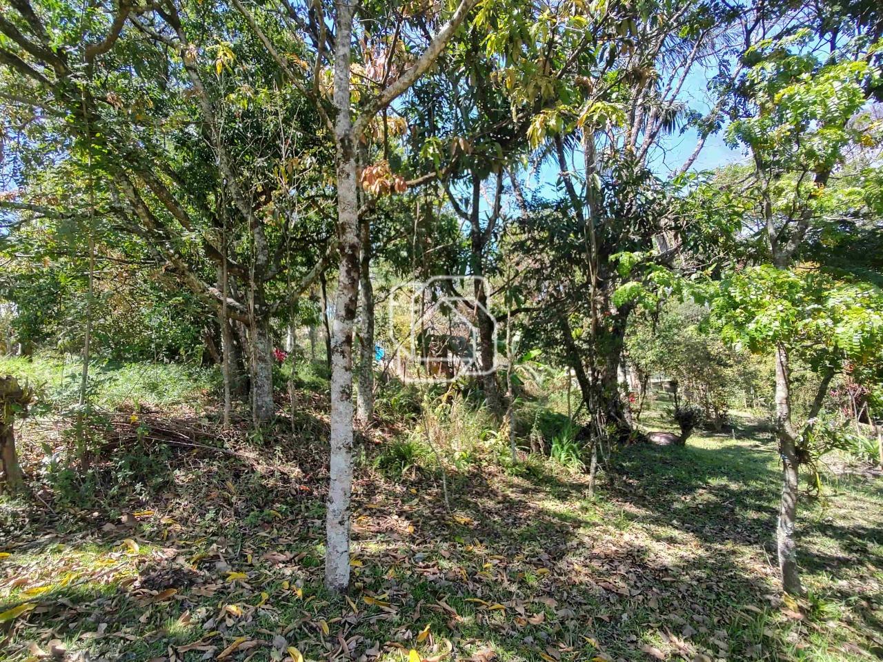 Terreno à venda em Itu - SP - Condomínio City Castelo: Visão do terreno