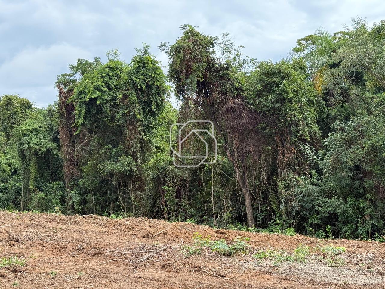 Terreno à venda em Itu - SP - Fazenda Vila Real de Itu: 