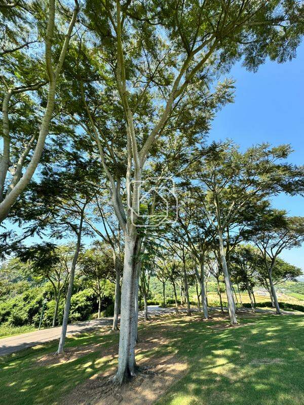 Terreno à venda em Porto Feliz - SP - Condomínio Fazenda Boa Vista: 