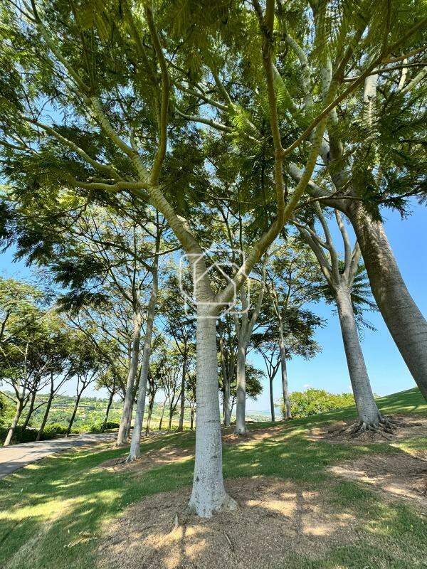 Terreno à venda em Porto Feliz - SP - Condomínio Fazenda Boa Vista: 