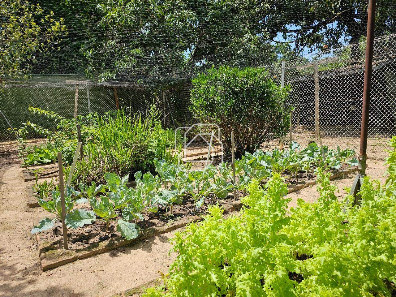 Casa de Condomínio à venda em Indaiatuba - SP - Recanto das Flores: Horta