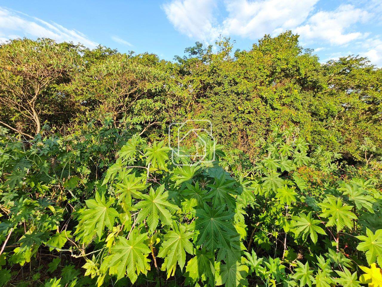 Terreno à venda em Indaiatuba - SP - Jardim Quintas da Terracota: Visão geral do terreno