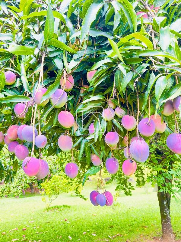 Casa de Condomínio à venda em Itu - SP - Condomínio City Castelo: 