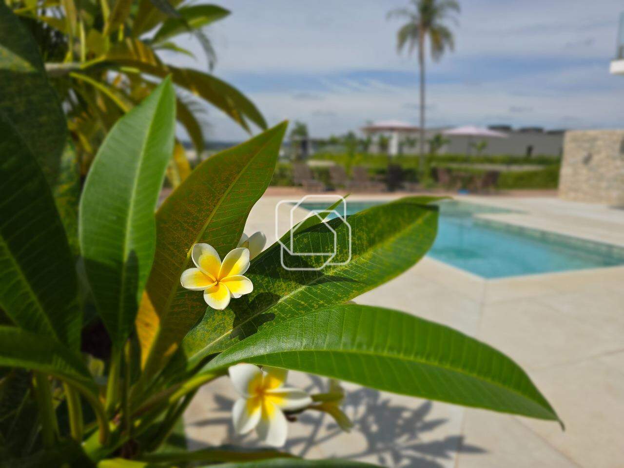 Casa de Condomínio à venda em Porto Feliz - SP - Fazenda Alvorada: 