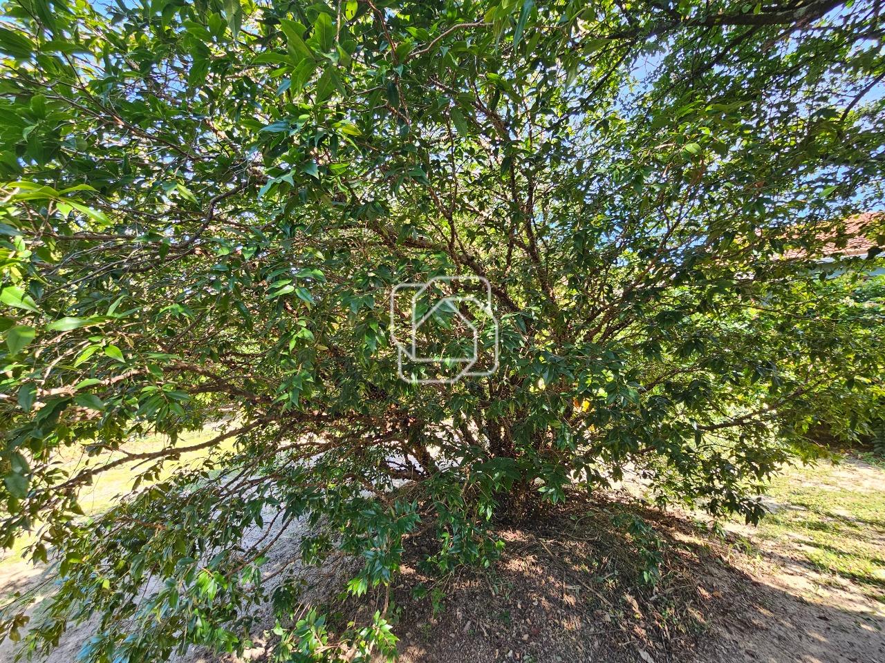 Terreno à venda em Indaiatuba - SP - Terras de Itaici: Visão geral do terreno