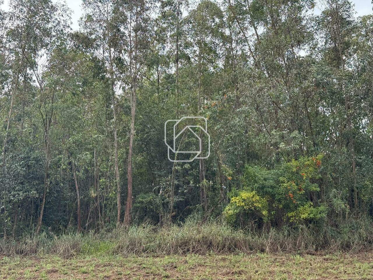 Terreno à venda em Itu - SP - Condomínio Terras de São José II: 