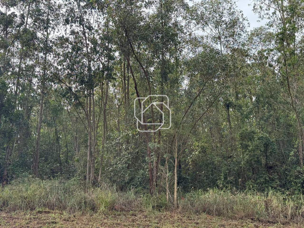 Terreno à venda em Itu - SP - Condomínio Terras de São José II: 