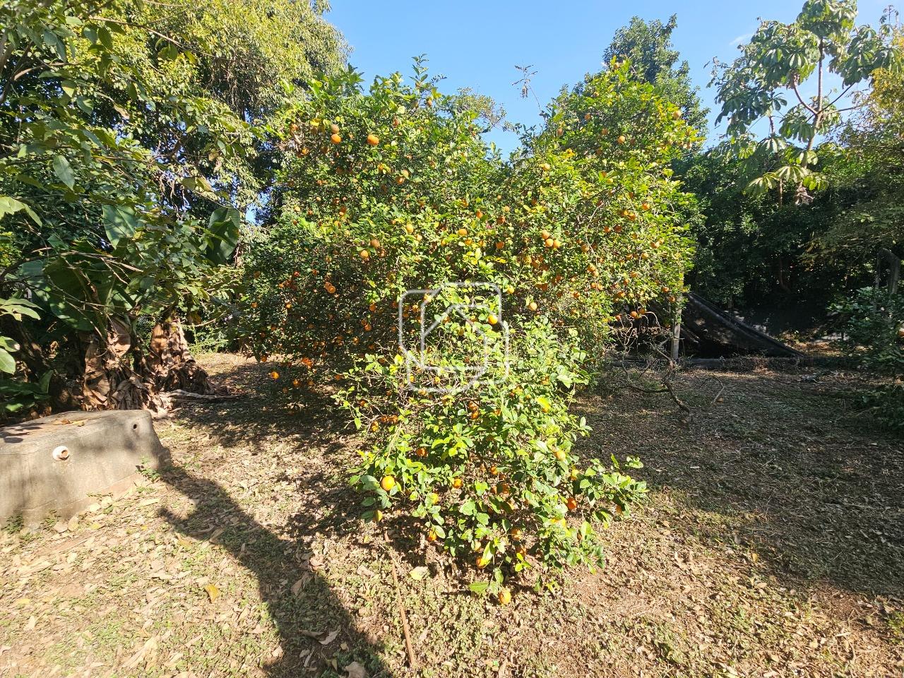 Terreno à venda em Indaiatuba - SP - Vale das Laranjeiras: Visão geral do terreno
