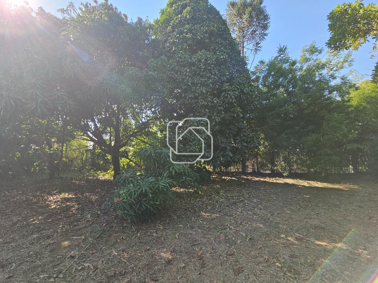 Terreno à venda em Indaiatuba - SP - Vale das Laranjeiras: Visão geral do terreno