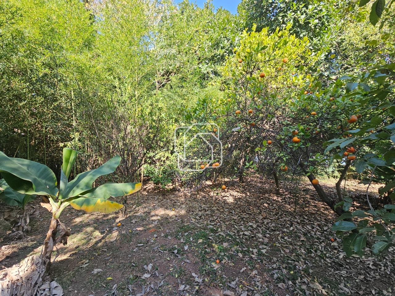 Terreno à venda em Indaiatuba - SP - Vale das Laranjeiras: Visão geral do terreno