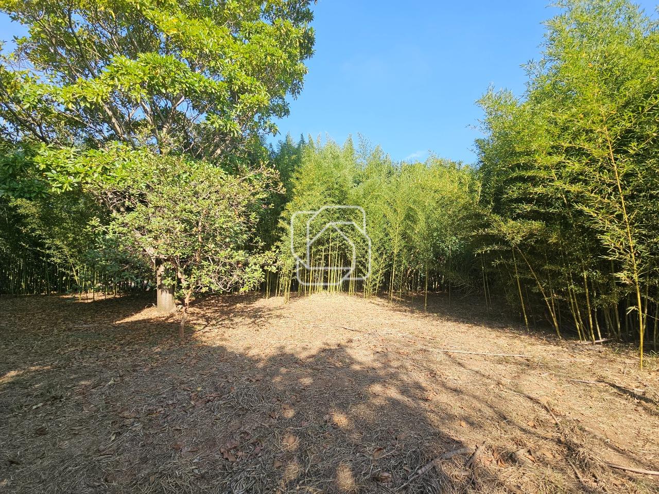 Terreno à venda em Indaiatuba - SP - Vale das Laranjeiras: Visão geral do terreno
